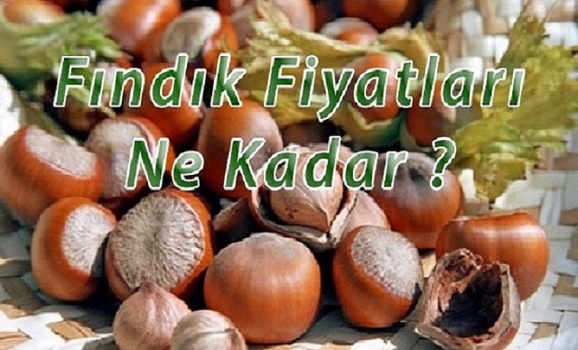 Fındık Fiyatı Ne Kadar